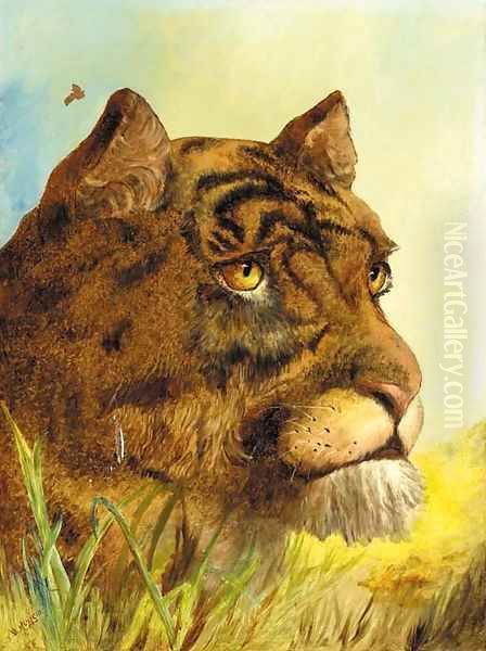 Head of a Tigress Oil Painting by William Huggins