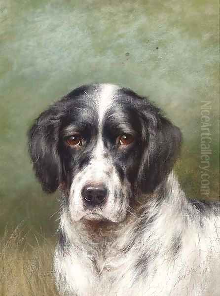 The head of a English setter Oil Painting by Tom Heywood