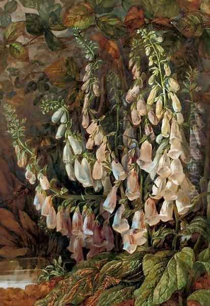 Foxgloves Oil Painting by Maria Harrison