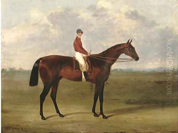 Amato, with jockey up Oil Painting by John Frederick Herring