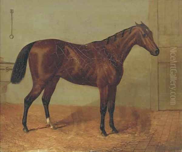 Beeswing, a racehorse in a stable Oil Painting by John Frederick Herring