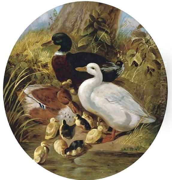 The bank of the duck pond Oil Painting by John Frederick Herring