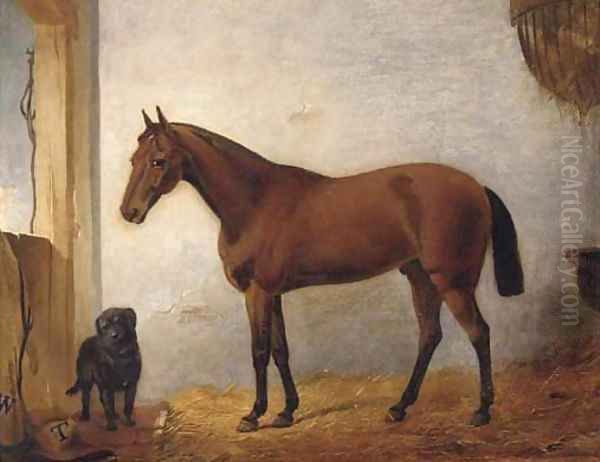 A chestnut hunter with a black labrador in a stable Oil Painting by John Frederick Jnr Herring