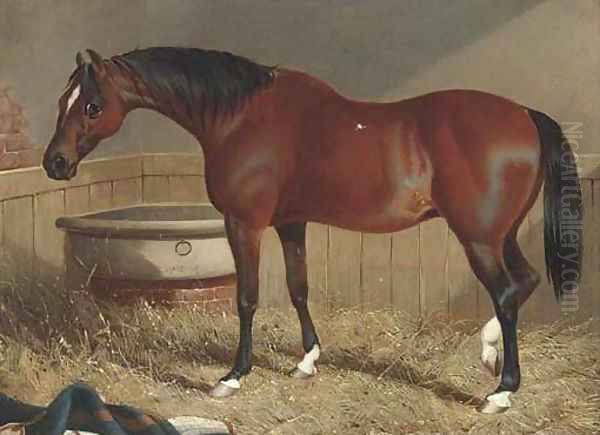 A light brown racehorse in a stable Oil Painting by John Frederick Snr Herring