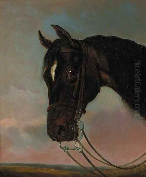 The head of a bay hunter Oil Painting by John Frederick Snr Herring