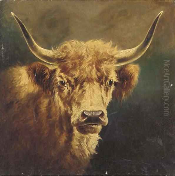 The head of a Highland cow Oil Painting by William Perring Hollyer