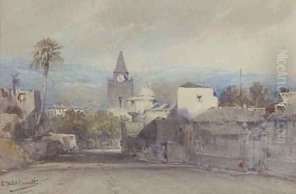 A street in South America Oil Painting by Eduard Hildebrandt