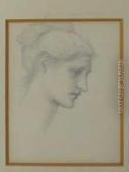 Profile Head Study For Laus Veneris Oil Painting by Sir Edward Coley Burne-Jones