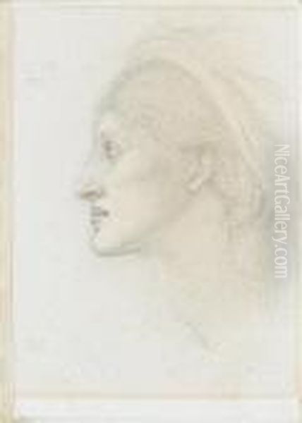 Study Of The Head Of A Model From The Perseus Series Oil Painting by Sir Edward Coley Burne-Jones