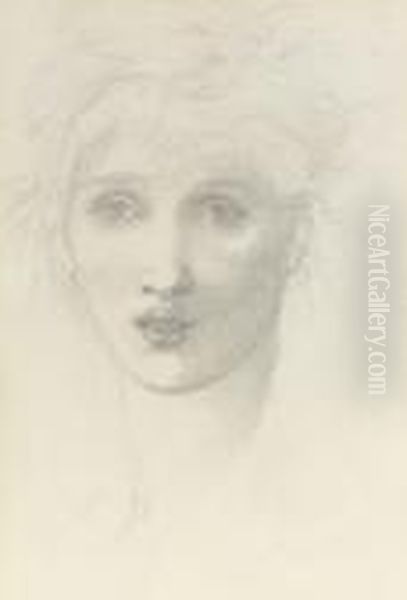 Study Of A Female Head Oil Painting by Sir Edward Coley Burne-Jones