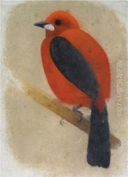 Red Bird Oil Painting by Simon Albert Bussy