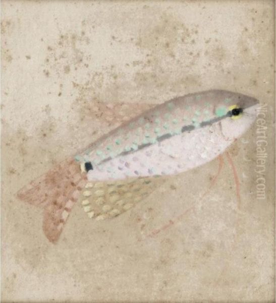 Gurami Fish Oil Painting by Simon Albert Bussy