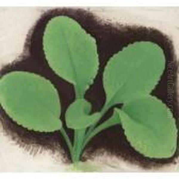 Green Plant Oil Painting by Simon Albert Bussy