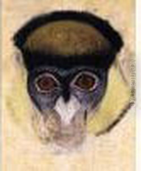 Tete De Singe D'abyssinie Oil Painting by Simon Albert Bussy