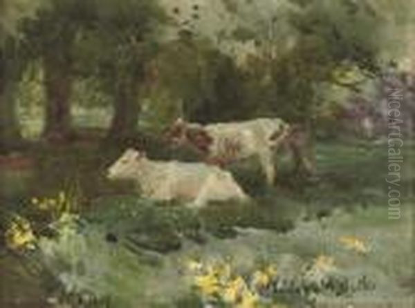 Cattle In The Shade, Kilmurray Oil Painting by Mildred Anne Butler