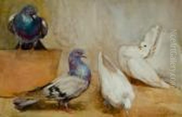 Fantail Pigeons Oil Painting by Mildred Anne Butler