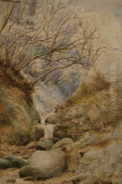 Waterfall, Kilkenny Oil Painting by Mildred Anne Butler