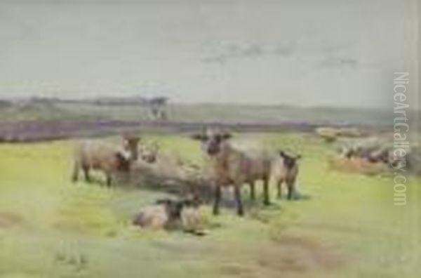 April Sheep In A Fold Oil Painting by Mildred Anne Butler