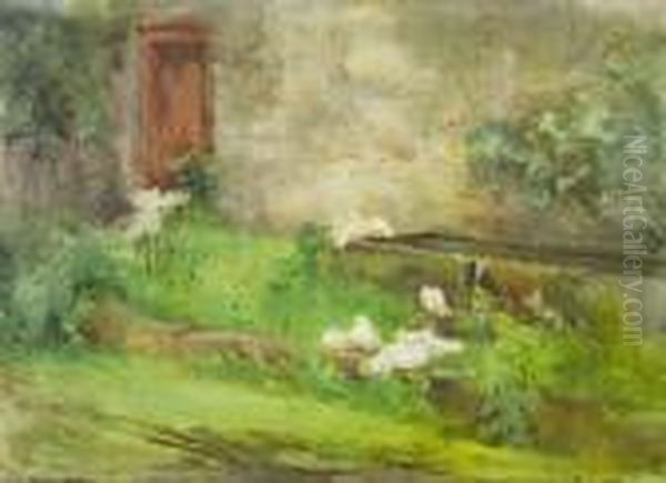 Doves At The Water Trough, Kilmurry Oil Painting by Mildred Anne Butler