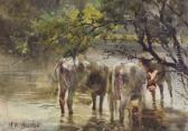 Cattle Watering In The Shade Oil Painting by Mildred Anne Butler