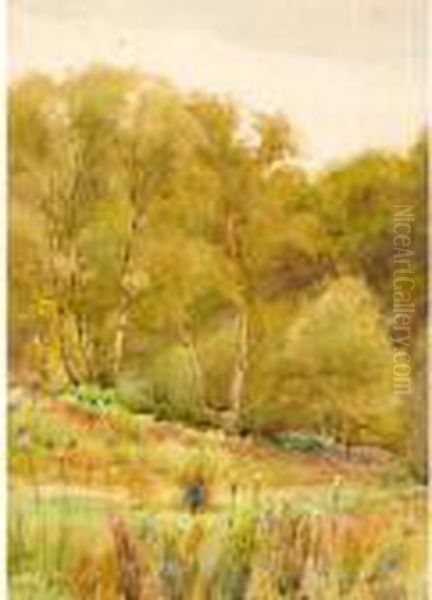 The Edge Of The Woods Oil Painting by Mildred Anne Butler