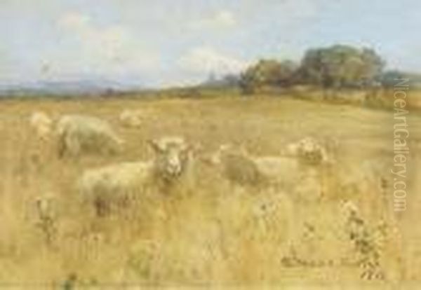 Sheep In A Meadow Oil Painting by Mildred Anne Butler