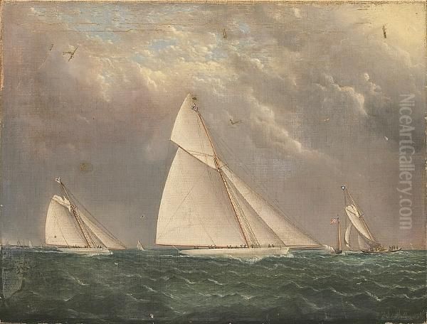 Regatta With Yachts 'mayflower' And 'huron' Oil Painting by James E. Buttersworth