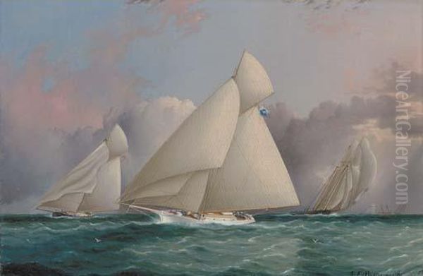 Yacht 'sappho' Beating To Windward Oil Painting by James E. Buttersworth