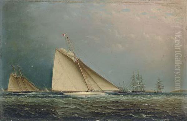 'puritan' Racing Off Of Staten Island Oil Painting by James E. Buttersworth