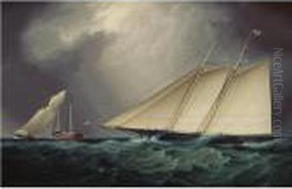 Columbia Vs. Livonia, Racing Off Sandy Hook Oil Painting by James E. Buttersworth