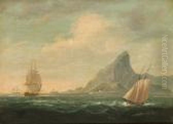 Shipping Off Rio De Janeiro Oil Painting by James E. Buttersworth