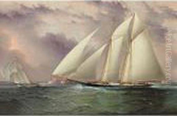 Schooner Racing Off New York Harbor Oil Painting by James E. Buttersworth