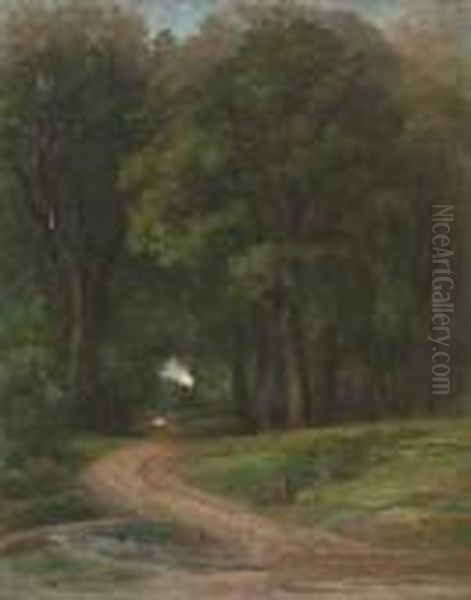 Chemin En Sous-bois Oil Painting by Nicolas Louis Cabat