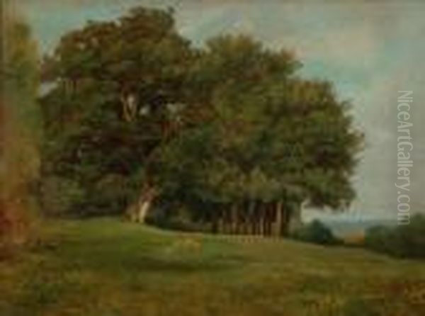  Bovin Dans La Prairie  Oil Painting by Nicolas Louis Cabat