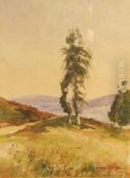 Paysage Aux Arbres Oil Painting by Louis Alexandre Cabie