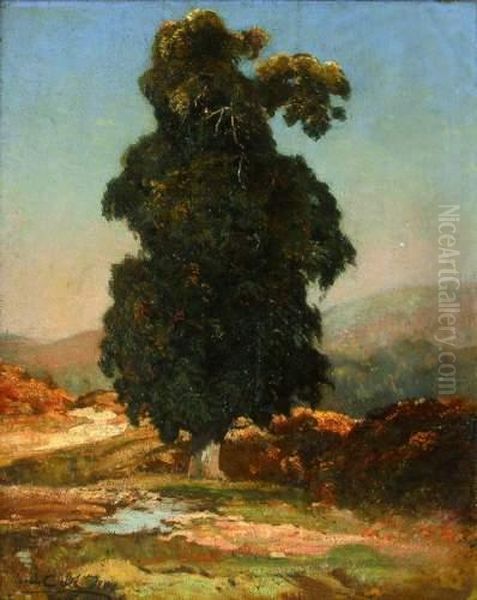 Le Grand Arbre by Louis Alexandre Cabie