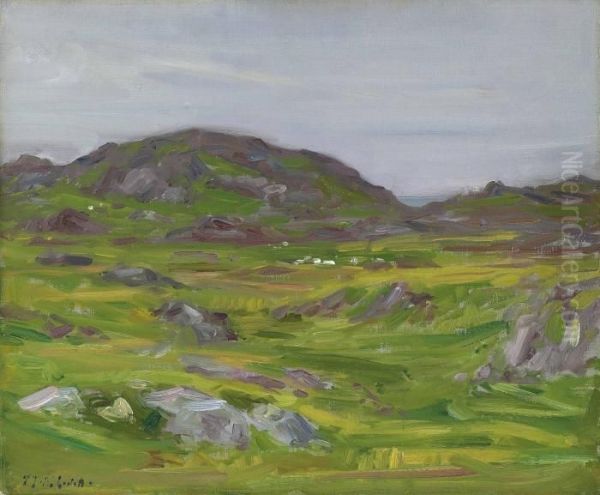 The Uplands Of Iona Oil Painting by Francis Campbell Boileau Cadell