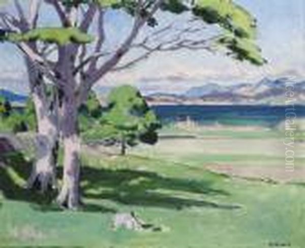 The West Highlands And The Sound Of Mull Oil Painting by Francis Campbell Boileau Cadell