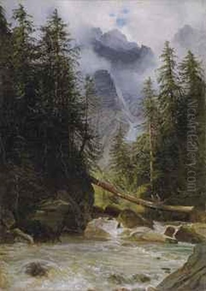 Torrent De Montagne Borde De Sapins Oil Painting by Alexandre Calame