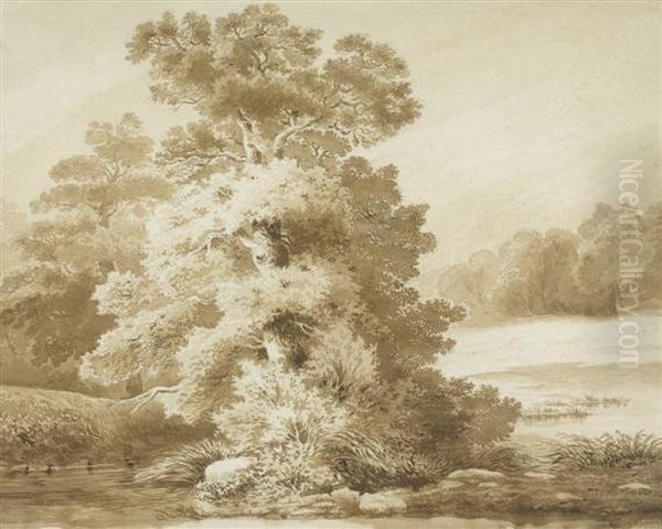 Study Of A Tree Oil Painting by Alexandre Calame