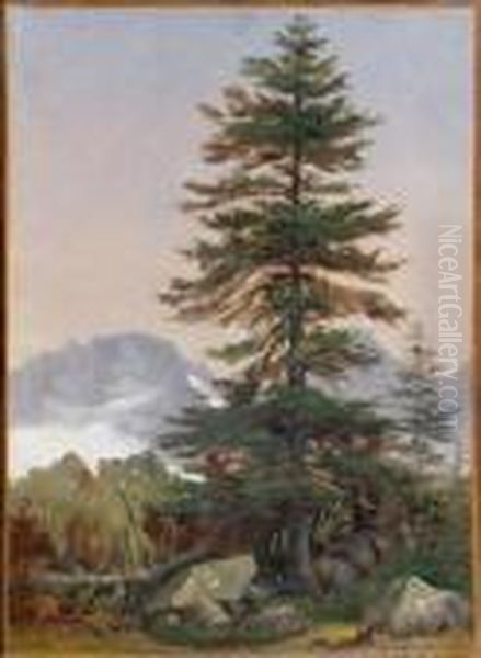 Etude De Sapin Devant Un Paysage De Montagne Oil Painting by Alexandre Calame