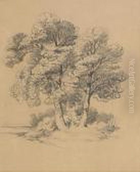 Tree Study Oil Painting by Alexandre Calame