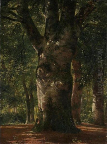 Stem Of A Beech Tree Oil Painting by Alexandre Calame