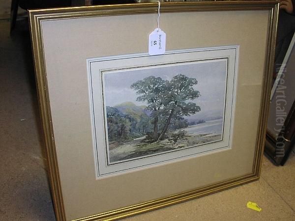 Trees By A Lake Oil Painting by William Callow