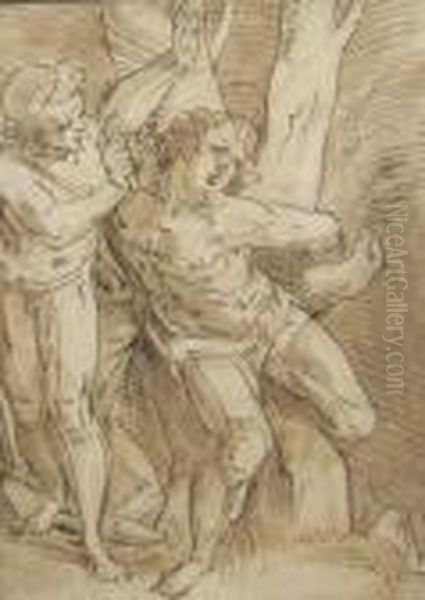 The Flaying Of Marsyas Oil Painting by Luca Cambiaso