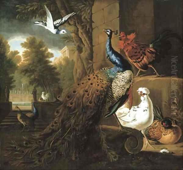 A peacock and chickens with other birds Oil Painting by Pieter Casteels III