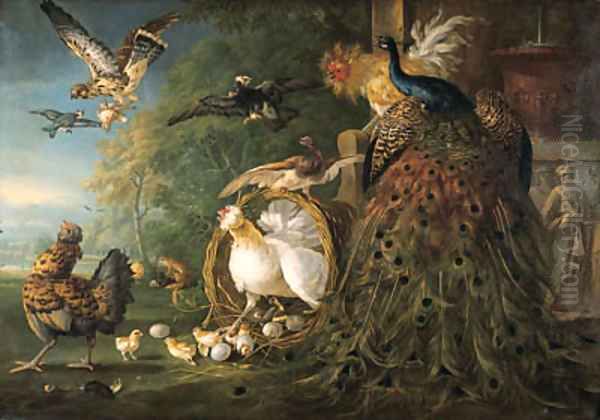 A peacock, a cockerel, a hen with her chicks, a kestrel Oil Painting by Peter Casteels III