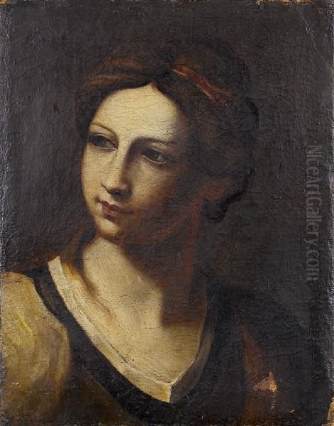 The Head Of A Young Woman Oil Painting by Simone Cantarini Il Pesarese