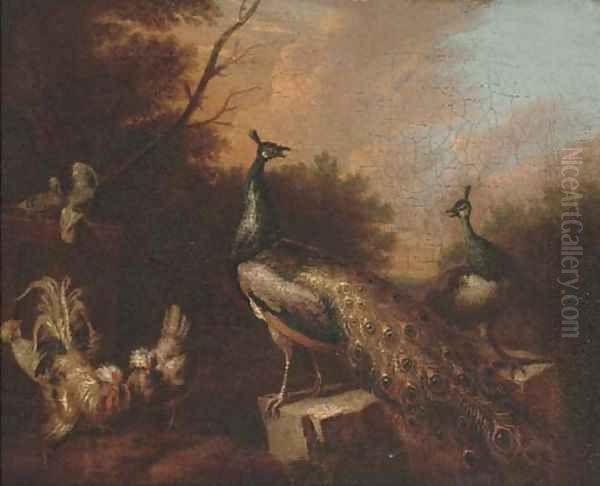 Peacocks and chickens in a landscape Oil Painting by Pieter Casteels III