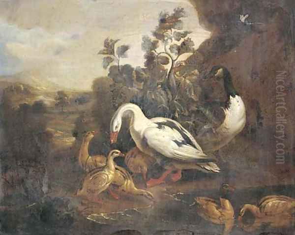 Ducks and a goose in a landscape Oil Painting by Pieter Casteels III